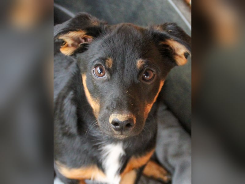 zauberhafte ROXANA möchte nach Hause reisen !