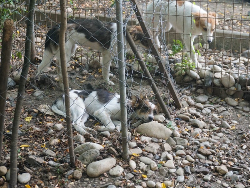 Charmante LIANE will mit DIR die Welt erkunden