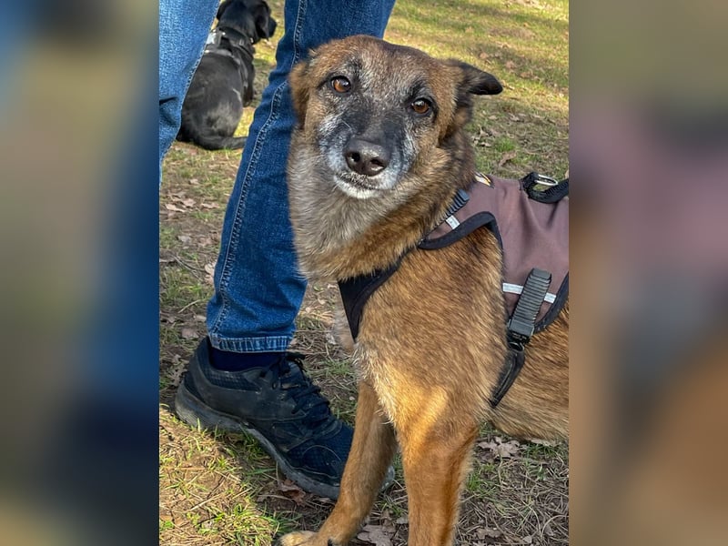 bezaubernde NISHA wartet in 91052 Erlangen auf ihre Herzensmenschen !