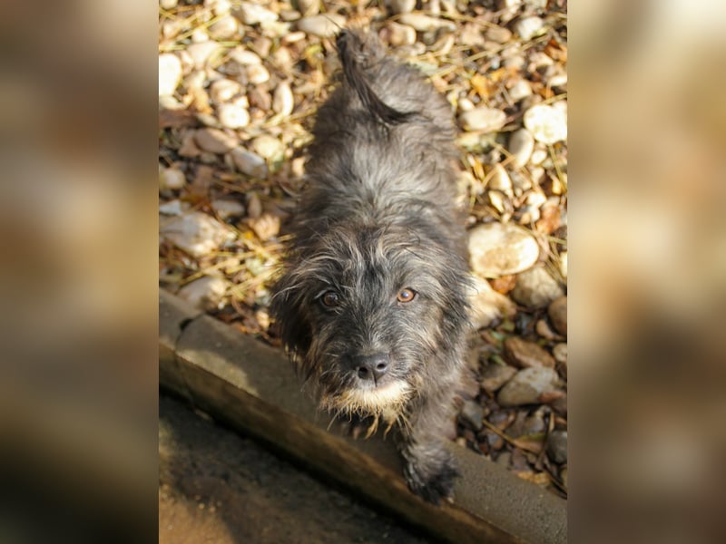 Freundlicher KAIRO möchte die Welt entdecken