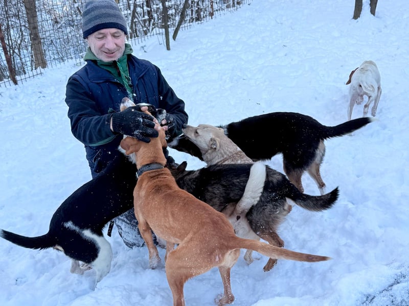 Verspielte und verschmuste INESSA - Traumhündin mit dem Potential zum Herzenshund