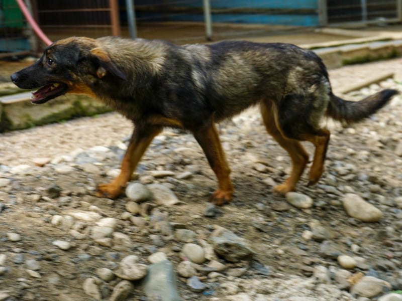 WELLA - rundum PERFEKT WELLA - rundum PERFEKT