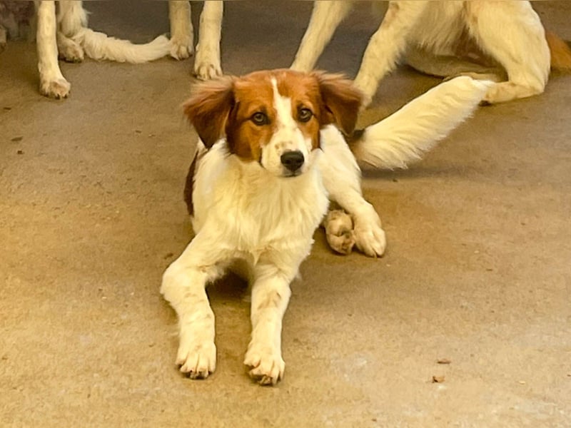 Zuckersüßer FRIEDRICH wartet auf Dich