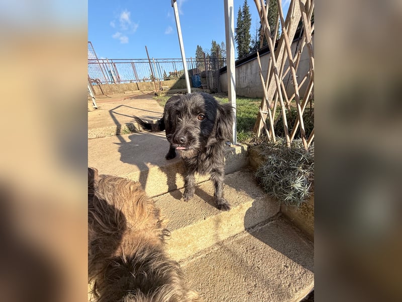 RAMONA freundlich, aufgeweckt sucht Ihre Abenteuer-Menschen !