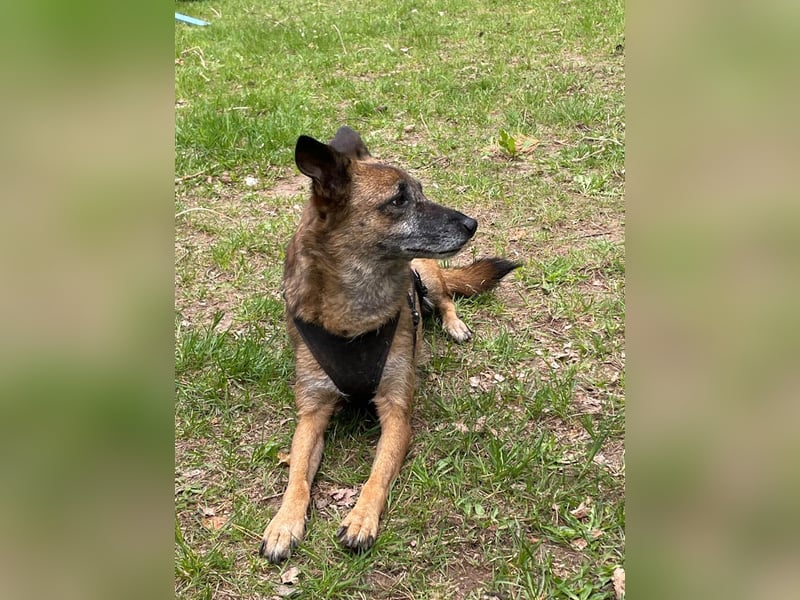 wundervolle NISHA wartet bereits in 91052 Erlangen auf ihre Herzensmenschen