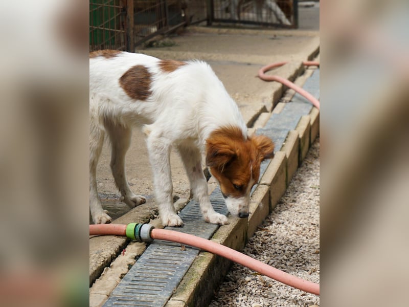 Zuckersüßer FRIEDRICH wartet auf Dich