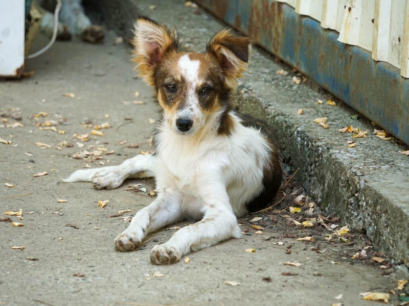 Charmante LIANE will mit DIR die Welt erkunden