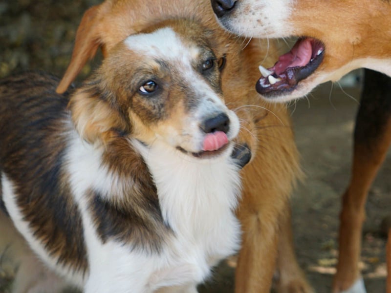 Charmante LIANE will mit DIR die Welt erkunden