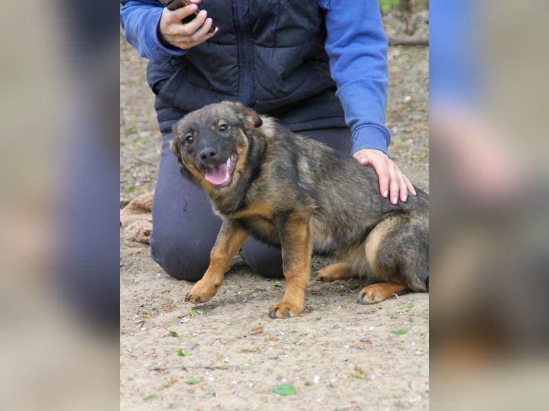 WELLA - rundum PERFEKT WELLA - rundum PERFEKT