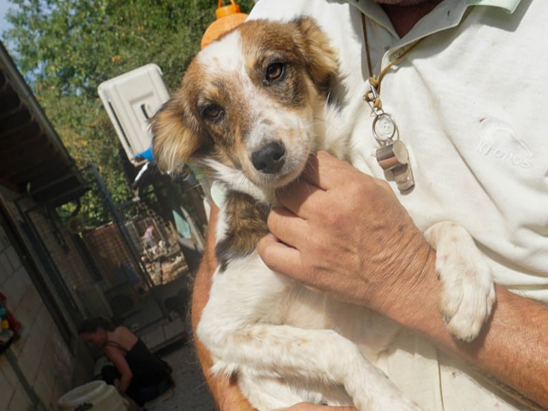 Charmante LIANE will mit DIR die Welt erkunden