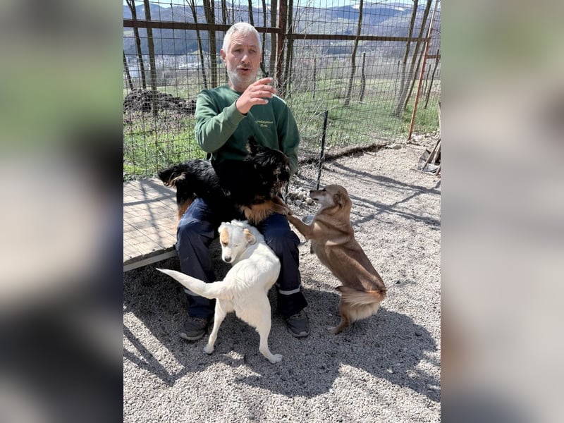 Kuschelfee SENA sucht Kuschelmenschen zum lieb haben