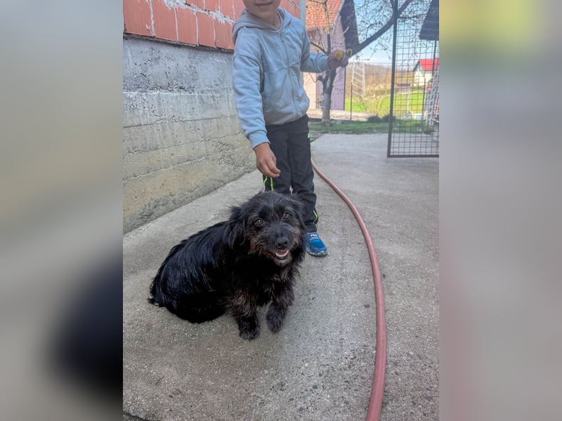 Zuckerschnauze RAMONA - bist du ihr Ticket ins Glück