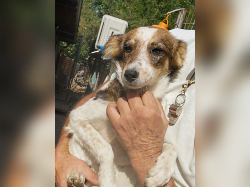 Charmante LIANE will mit DIR die Welt erkunden