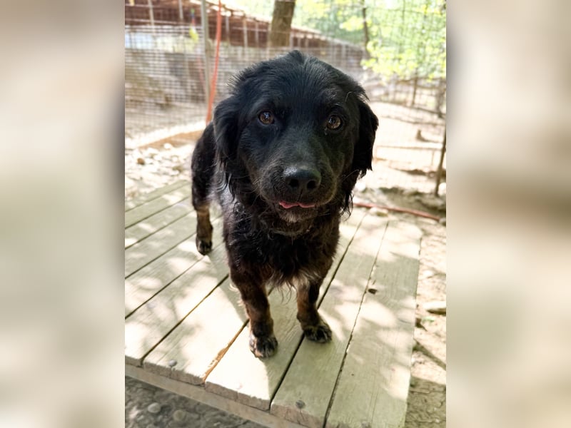 Sonnenschein RALF - wer löst sein Ticket ins Glück