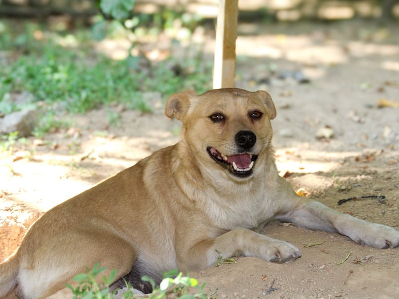 INESSA liebt die Nähe der Menschen sehr