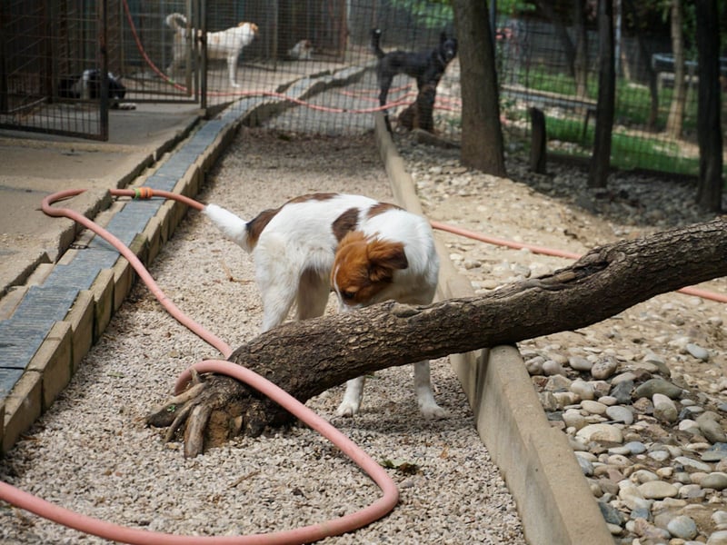 Zuckersüßer FRIEDRICH wartet auf Dich