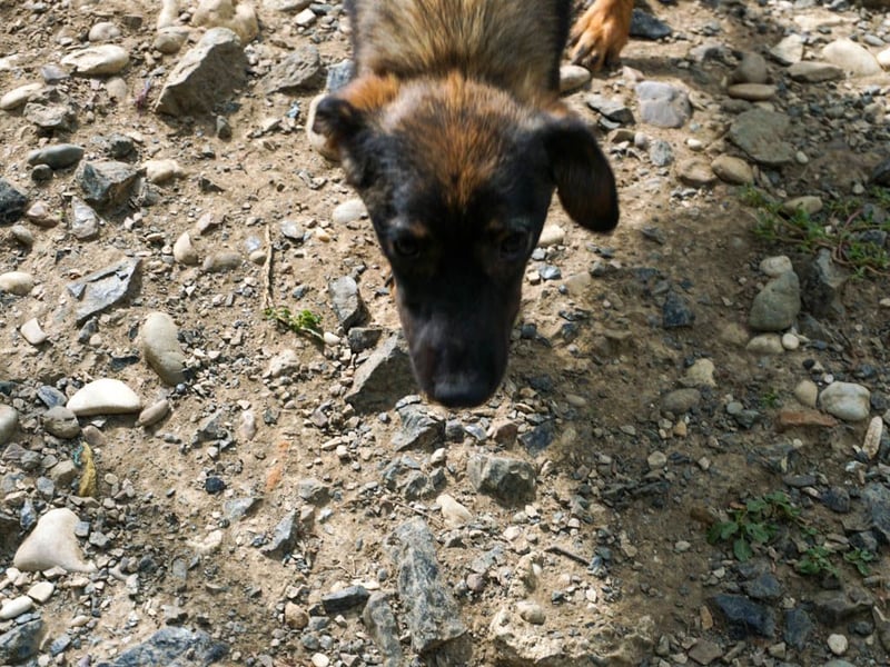 WELLA - rundum PERFEKT WELLA - rundum PERFEKT