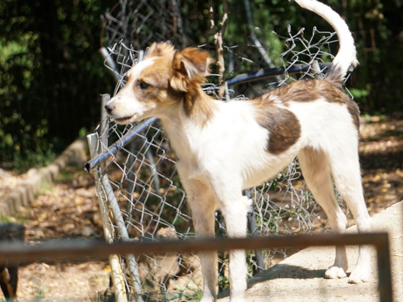Charmante LIANE will mit DIR die Welt erkunden