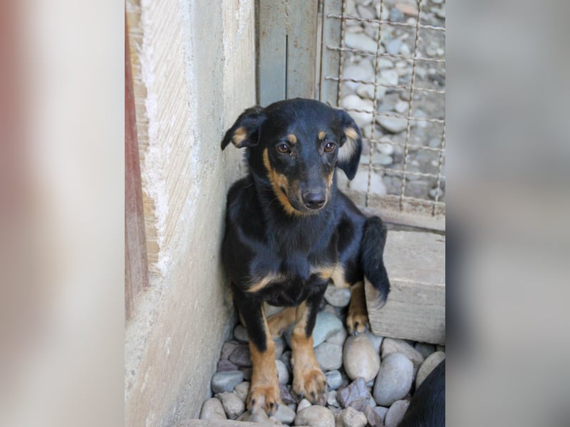 ruhige SMILLA möchte Weltentdeckerin werden wenn sie groß ist ;-)