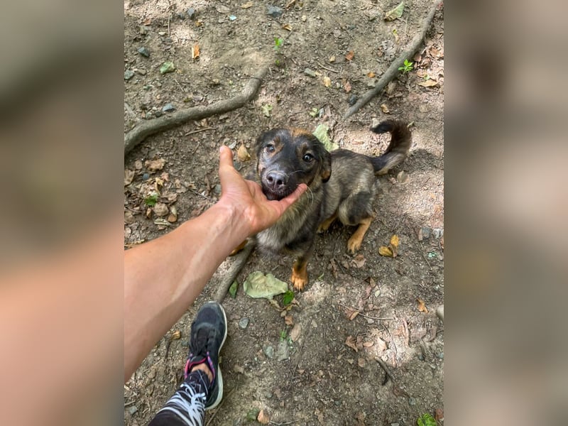 WELLA - rundum PERFEKT WELLA - rundum PERFEKT