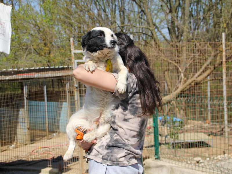 PUPIN einzigartig, lebensfroh - einfach PERFEKT !