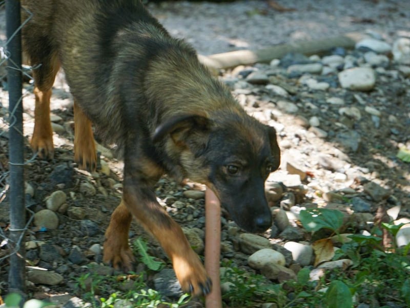 WELLA - rundum PERFEKT WELLA - rundum PERFEKT