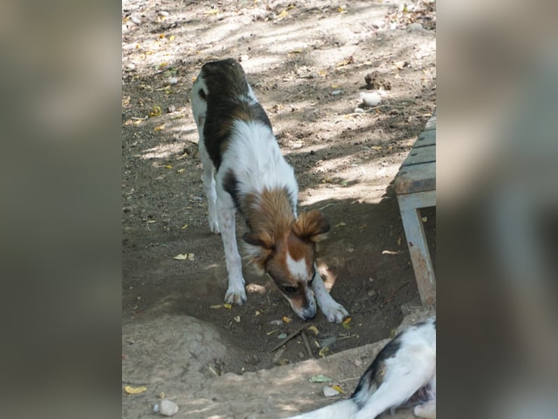 Charmante LIANE will mit DIR die Welt erkunden