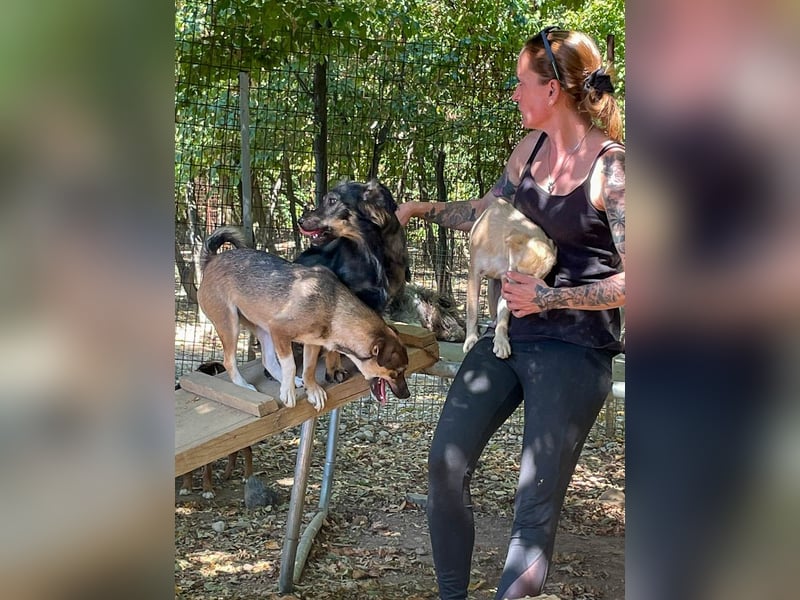 Neugierig und verspielt - Zaubermaus CAROLINA möchte dich um den Finger wickeln