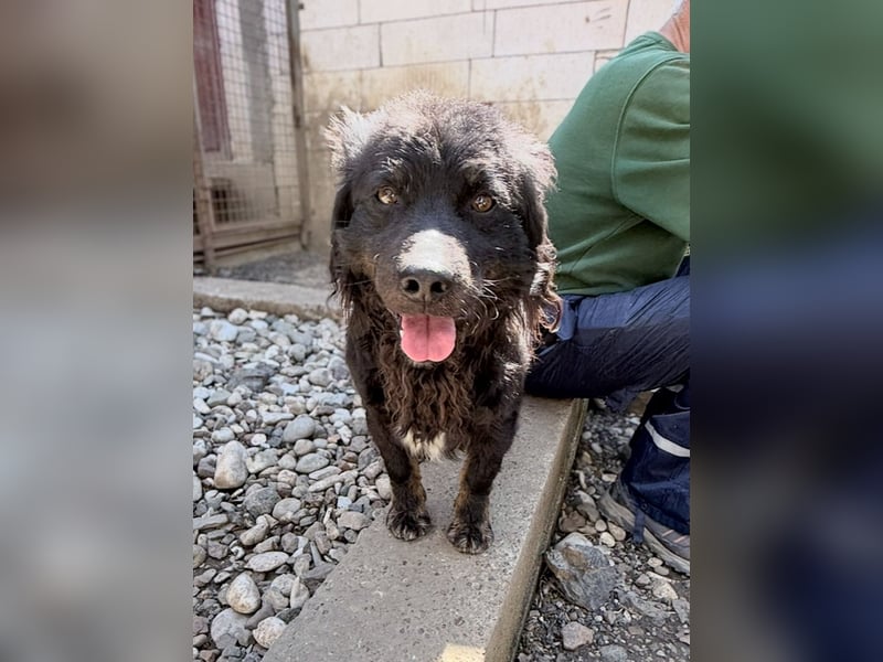 Sonnenschein RALF - wer löst sein Ticket ins Glück