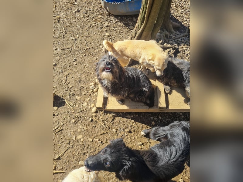 Freundlicher KAIRO möchte die Welt entdecken