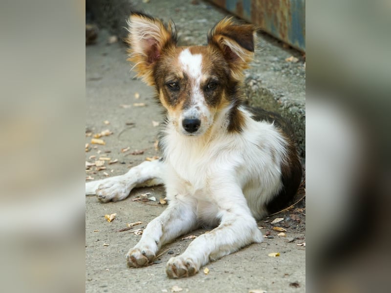 Charmante LIANE will mit DIR die Welt erkunden