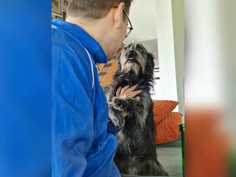 RAMONA, schon MAMA aber selbst noch auf der Suche nach Ihrem großen Glück - EIGENE HUNDEELTERN !