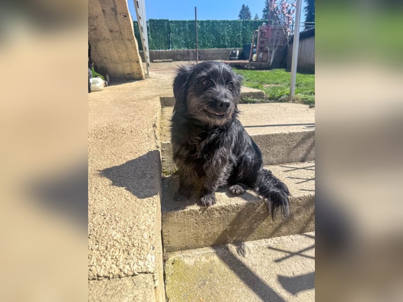 Zuckerschnauze RAMONA - bist du ihr Ticket ins Glück