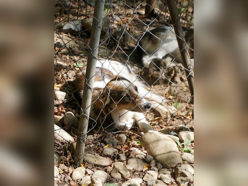 Charmante LIANE will mit DIR die Welt erkunden