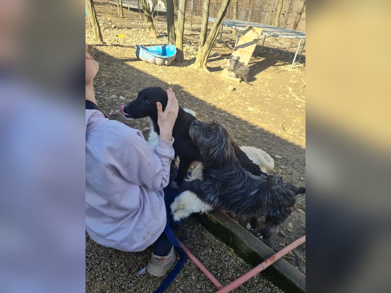 Freundlicher KAIRO möchte die Welt entdecken