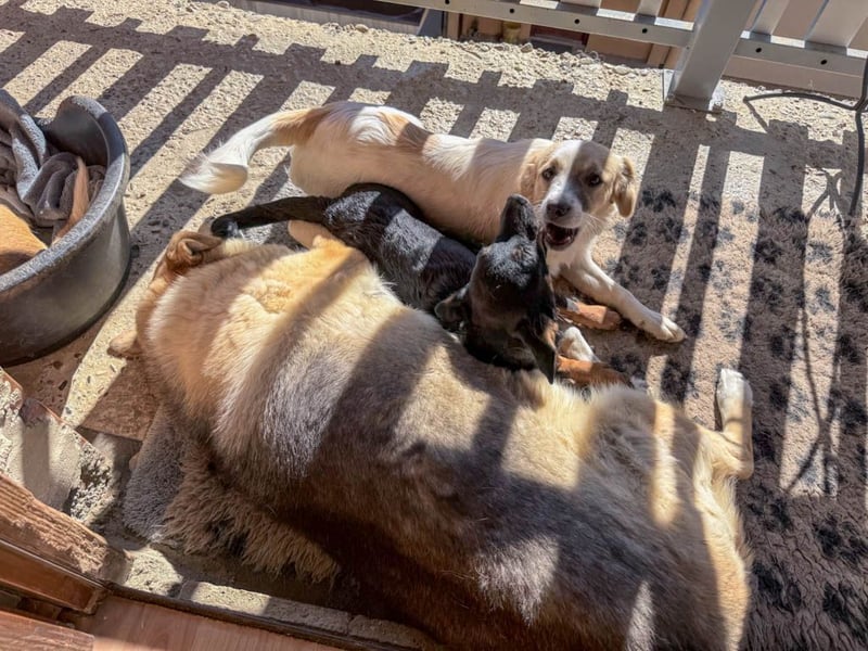 hübsch, hübscher, ROXANA