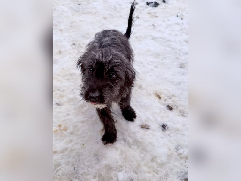 Freundlicher KAIRO möchte die Welt entdecken