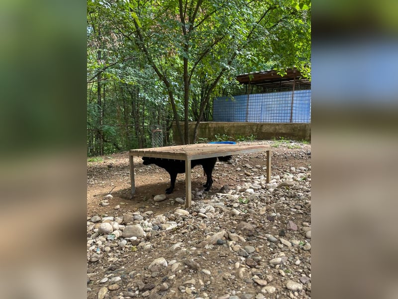 RALF er trägt die Sonne im Herzen !