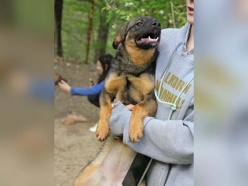 WELLA - rundum PERFEKT WELLA - rundum PERFEKT