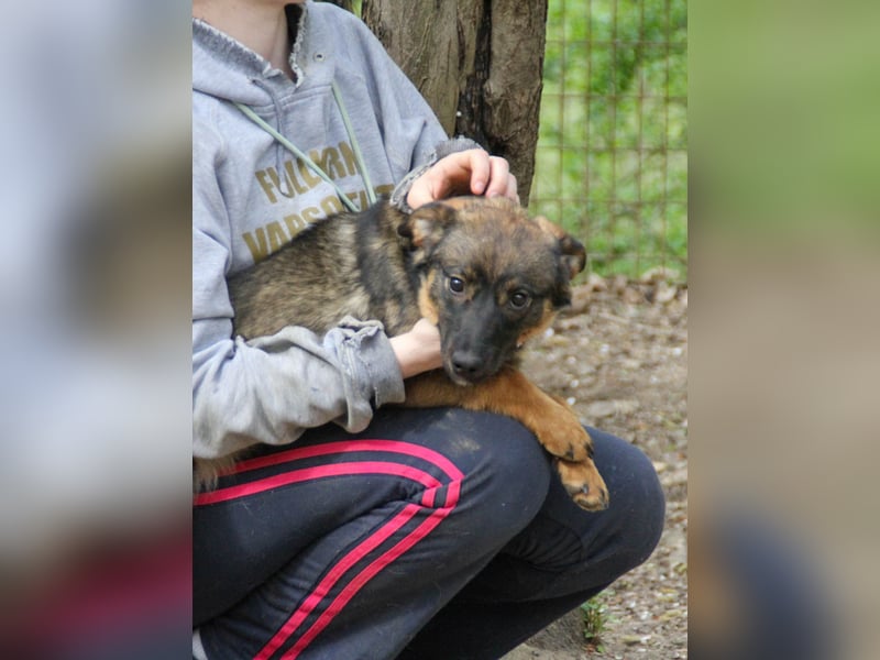 WELLA - rundum PERFEKT WELLA - rundum PERFEKT