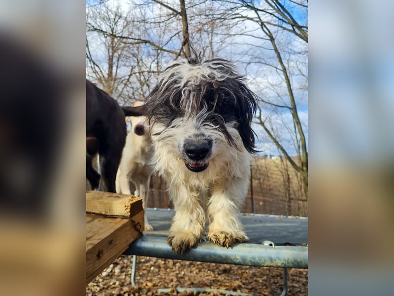 Süßer KELVIN - wer löst sein Ticket ins Glück?