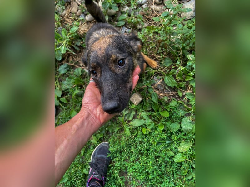 WELLA - rundum PERFEKT WELLA - rundum PERFEKT