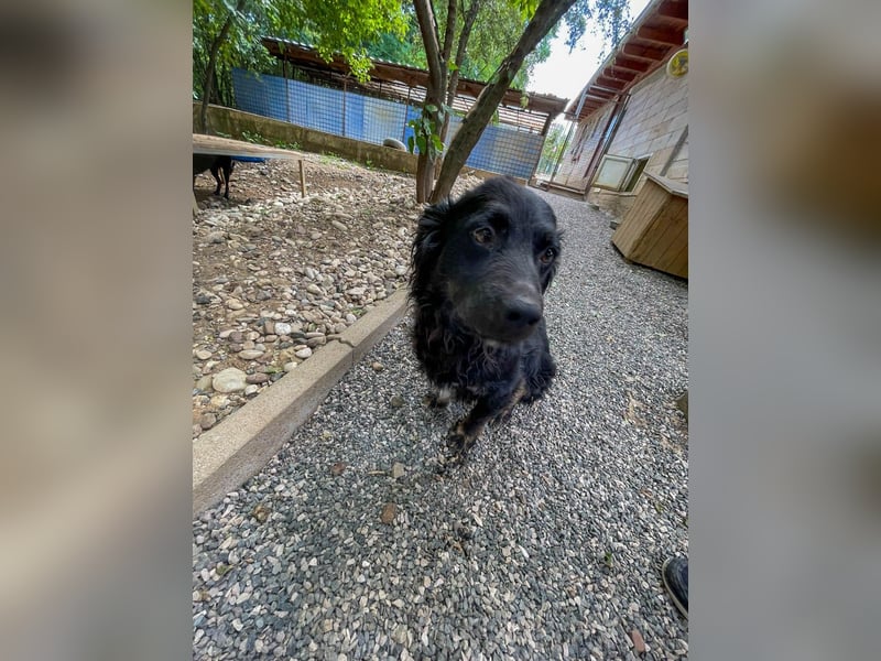 RALF er trägt die Sonne im Herzen !