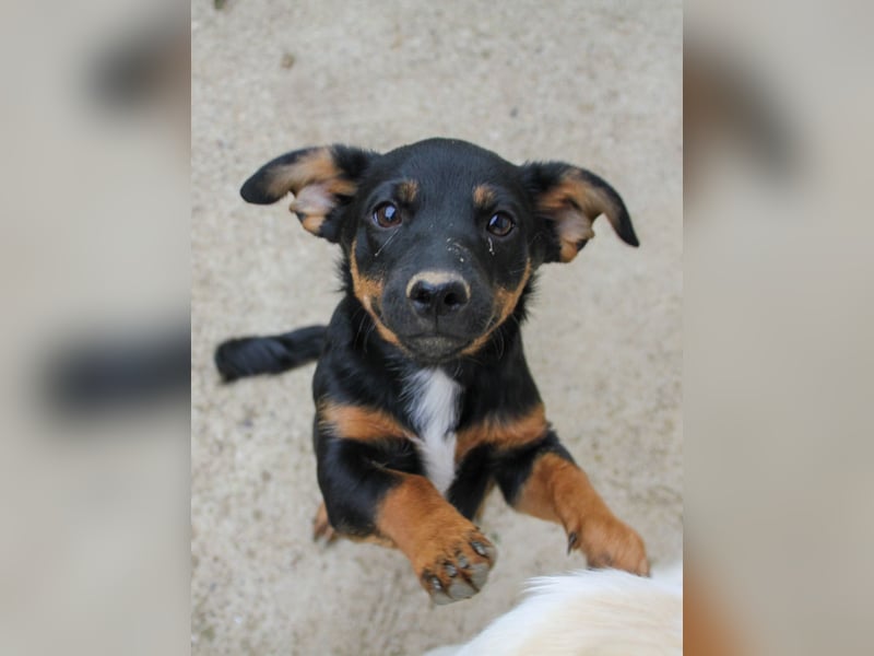 zauberhafte ROXANA möchte nach Hause reisen !