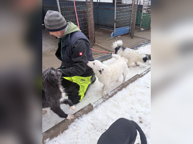 PUPIN einzigartig, lebensfroh - einfach PERFEKT !