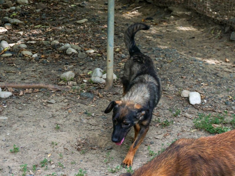 WELLA - rundum PERFEKT WELLA - rundum PERFEKT