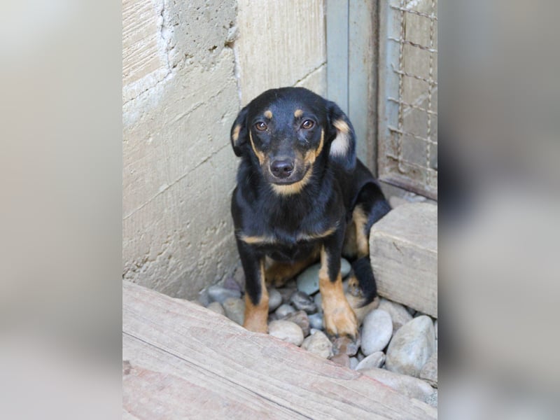 ruhige SMILLA möchte Weltentdeckerin werden wenn sie groß ist ;-)