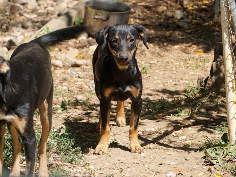 ruhige SMILLA möchte Weltentdeckerin werden wenn sie groß ist ;-)