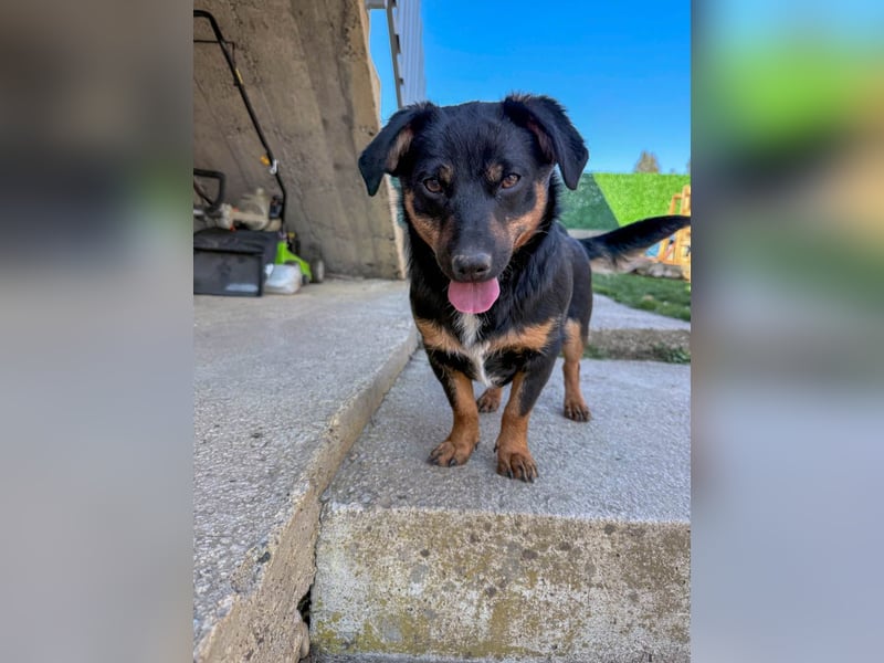 hübsch, hübscher, ROXANA