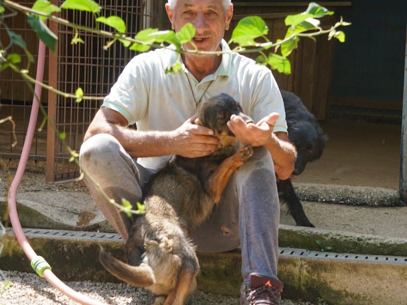 supersüße WELLA sucht nach DIR